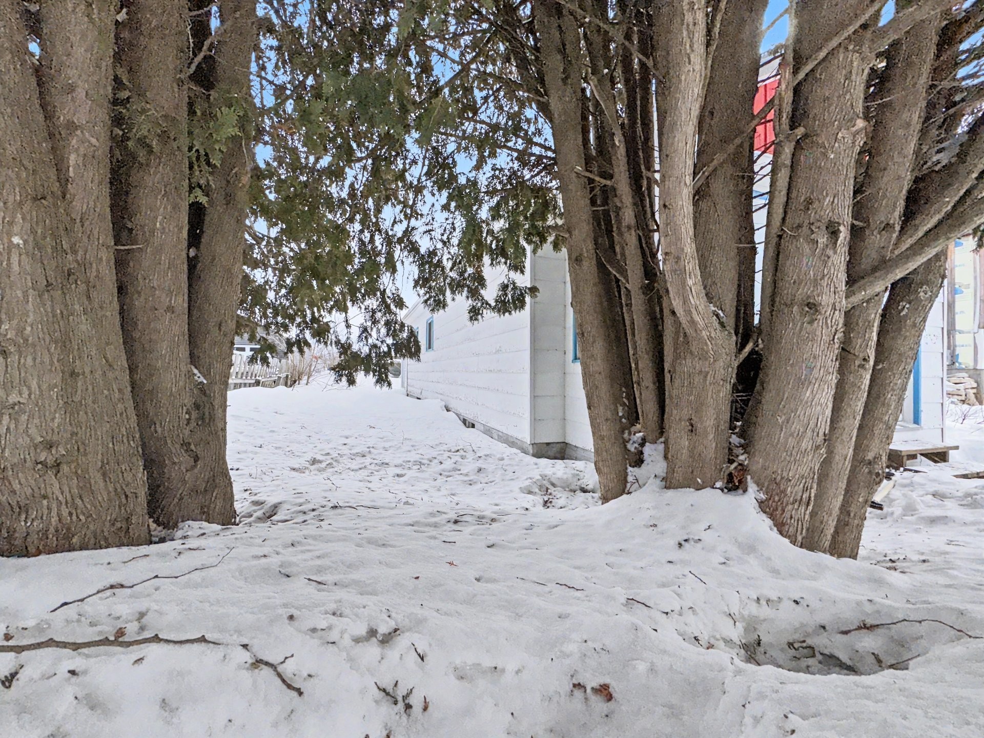 Courtyard - 12 3E Avenue E., Rouyn-Noranda, QC - Outdoor