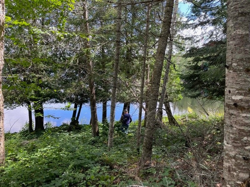 Bord de l'eau - Ch. Du Lac-Sarrazin, Lac-Saint-Paul, QC