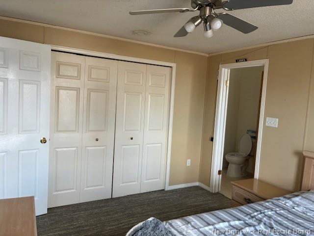 635 Champlain St, Shediac, NB