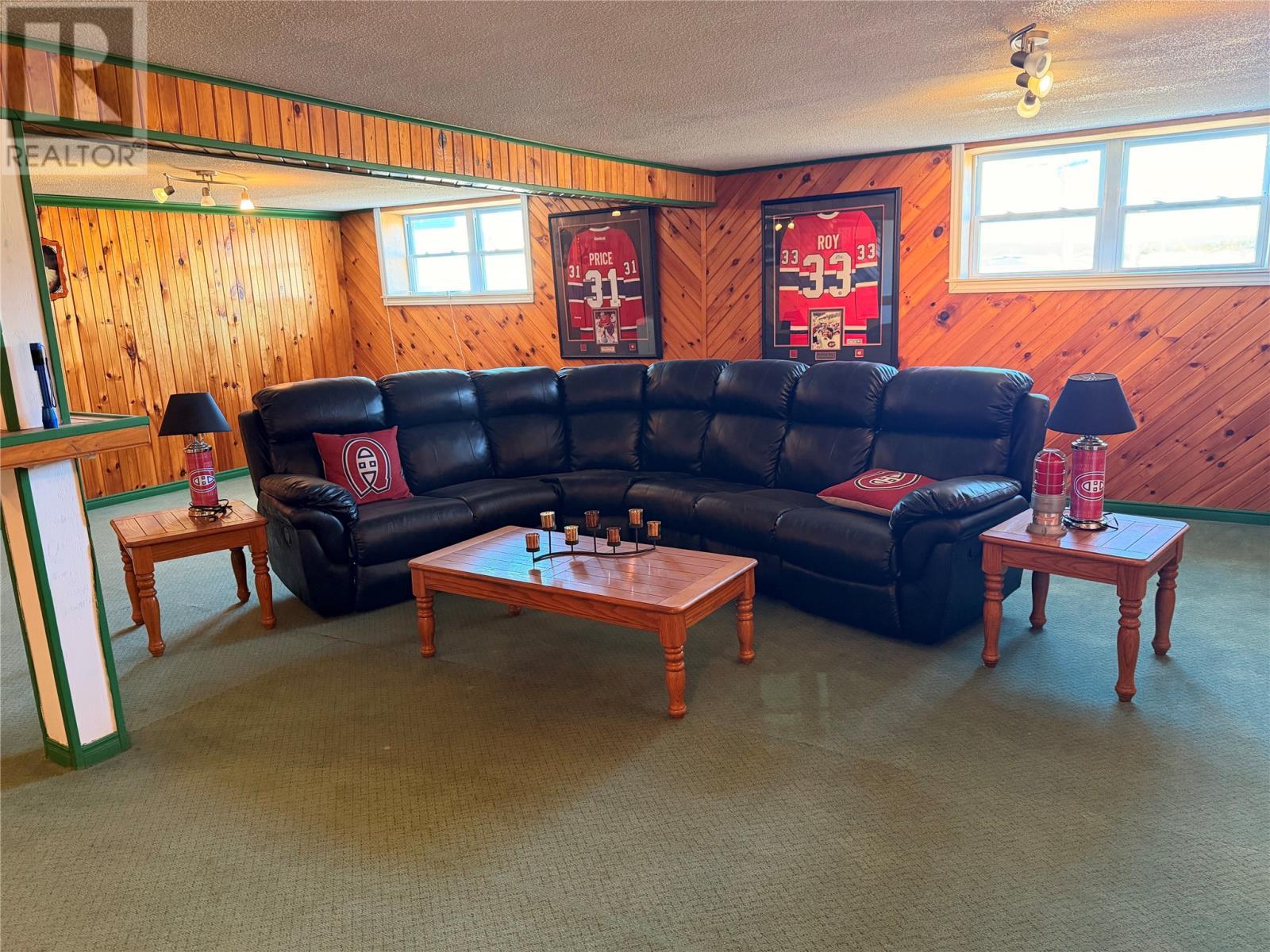 17 Hicks Road, Peter'S River, NL - Indoor Photo Showing Living Room