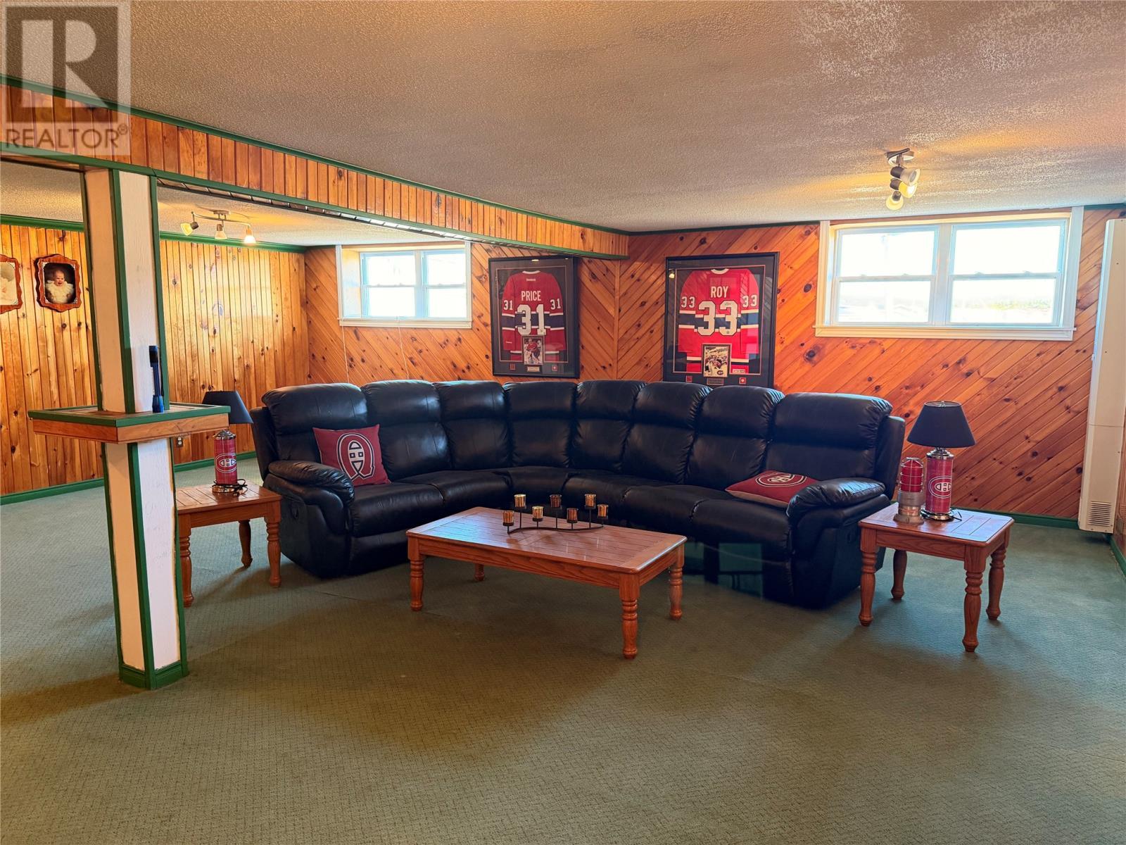 17 Hicks Road, Peter'S River, NL - Indoor Photo Showing Living Room