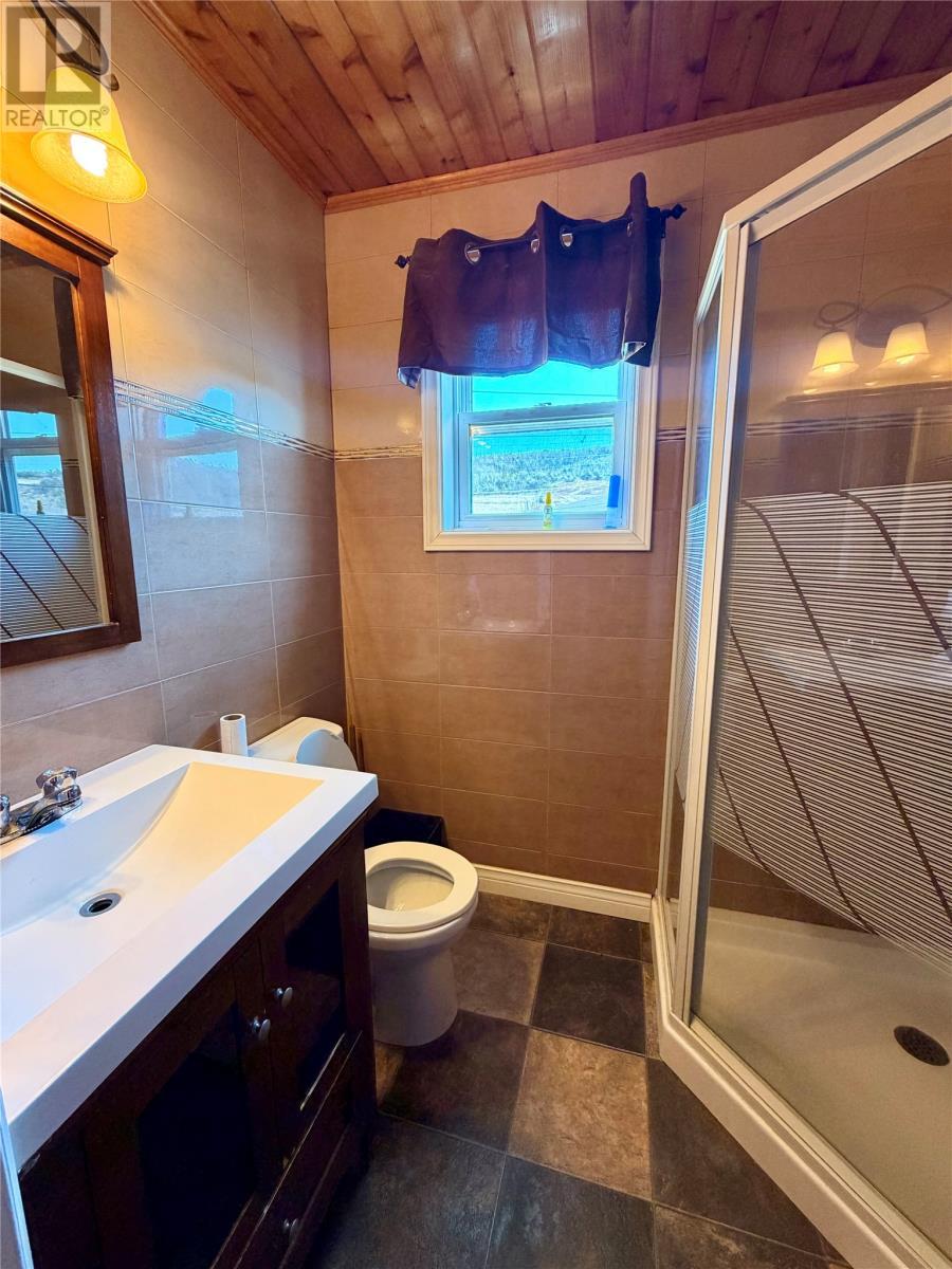 17 Hicks Road, Peter'S River, NL - Indoor Photo Showing Bathroom