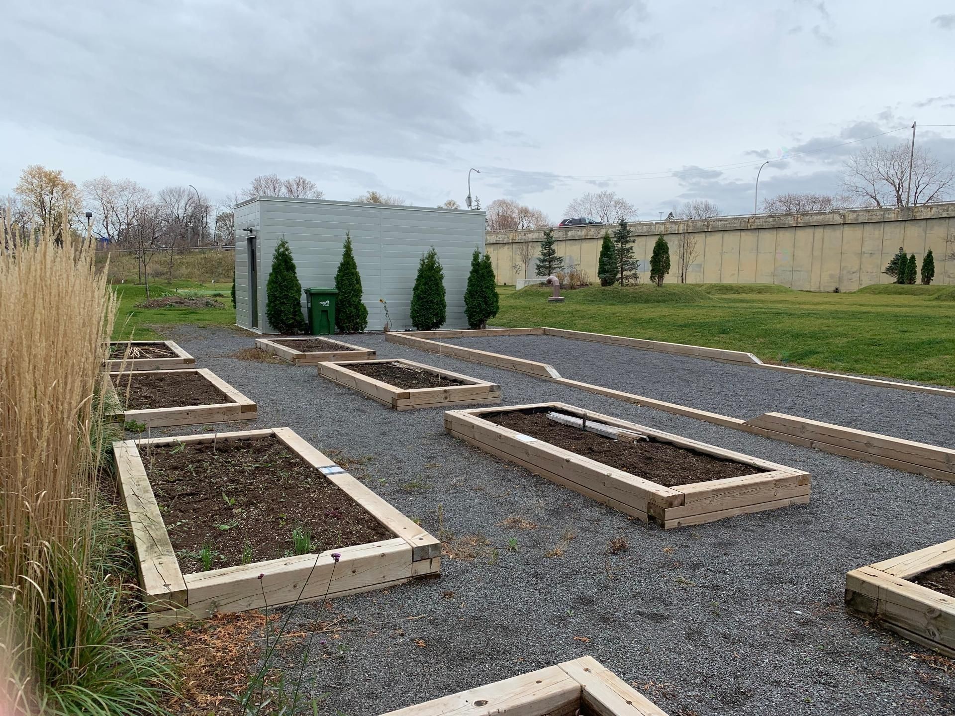 Garden - 105-4 Av. Donegani, Pointe-Claire, QC - Outdoor