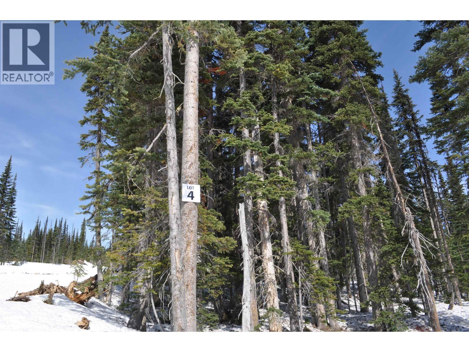 Pt. St 4 Alpine Way, Smithers, BC
