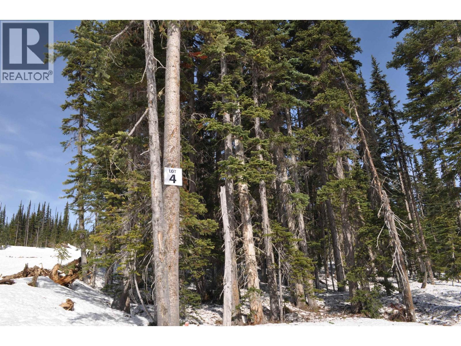 Pt. St 4 Alpine Way, Smithers, BC