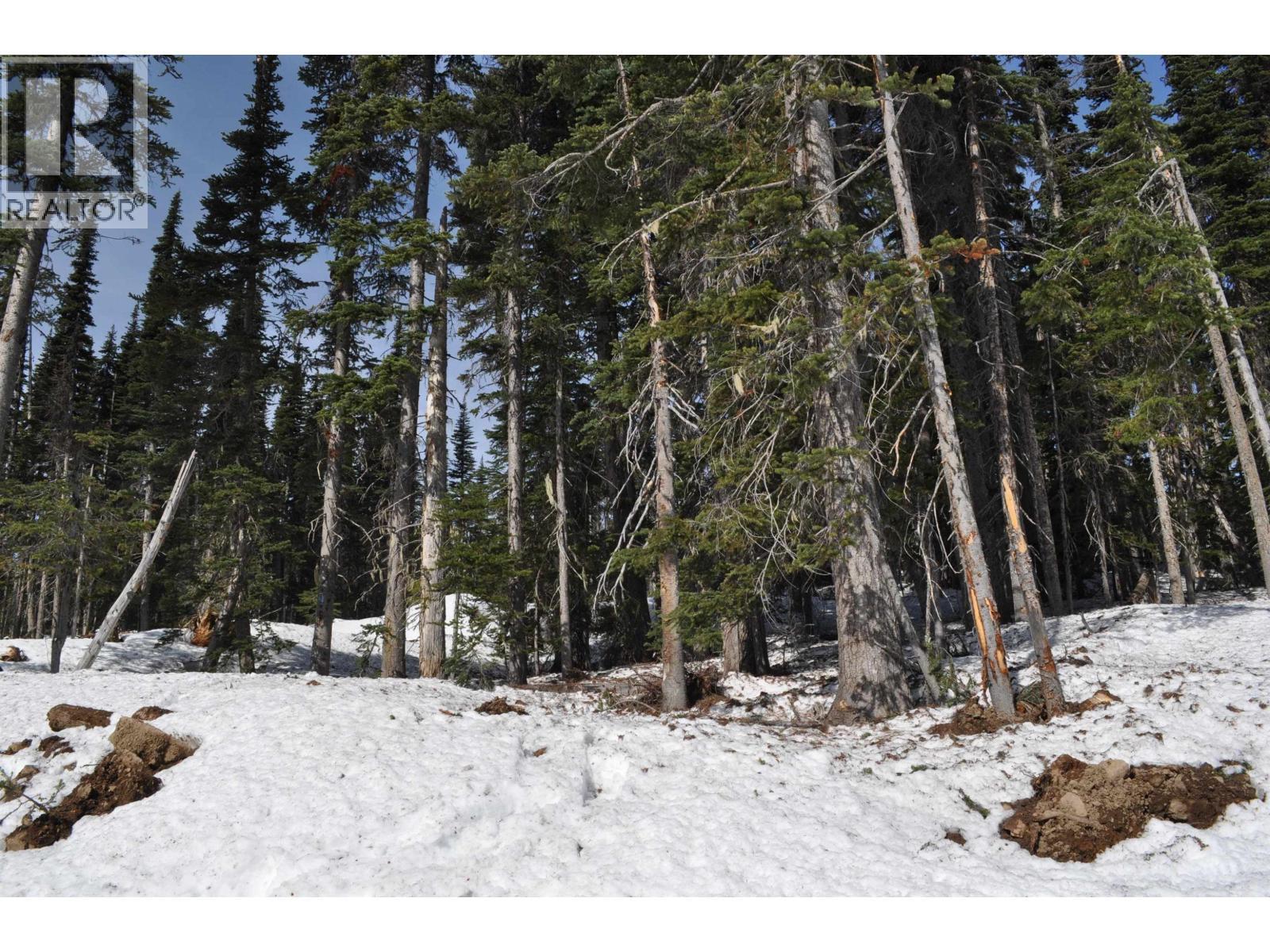 Pt. St 4 Alpine Way, Smithers, BC
