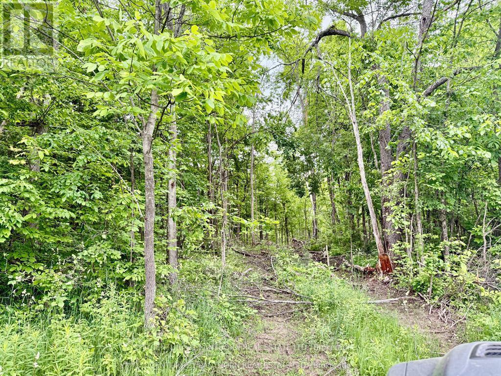 00 Cooper Road, Madoc, ON