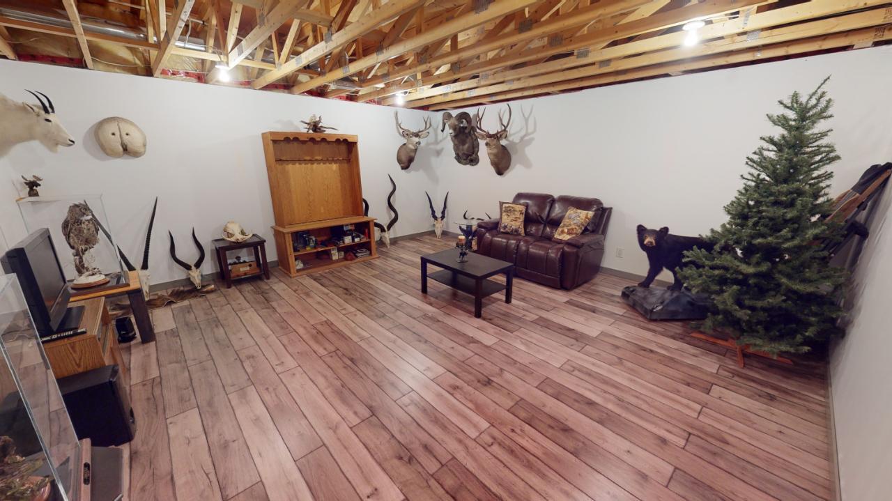 6006 Wolf Creek Road, Wasa, BC - Indoor Photo Showing Basement
