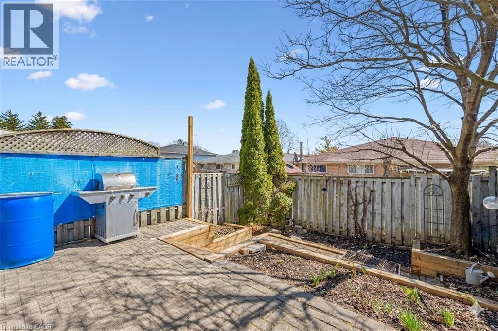 Fenced backyard with a vegetable garden and grilling area - 55 Ralgreen Crescent, Kitchener, ON - Outdoor