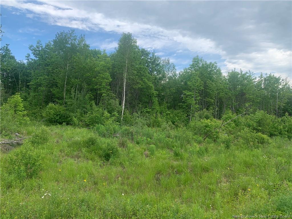 Land Route 3, Dewolfe, NB