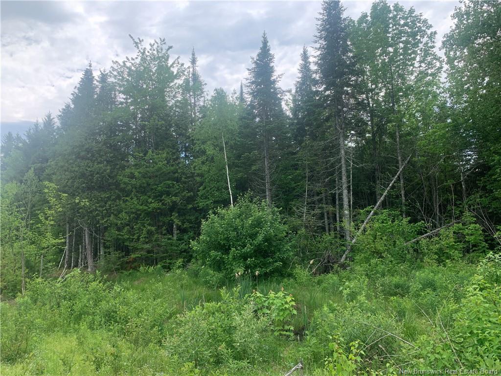 Land Route 3, Dewolfe, NB