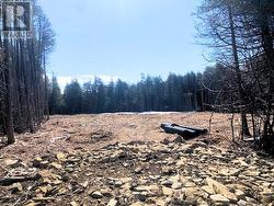 LT 2 ARMSTRONG ROAD Merrickville-Wolford, ON K0G 1N0