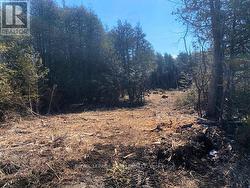 LT 3 ARMSTRONG ROAD Merrickville-Wolford, ON K0G 1N0