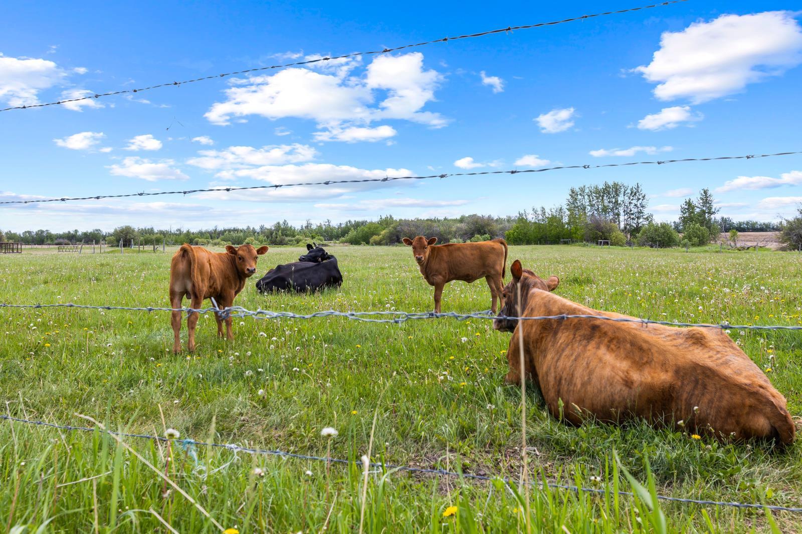 26517 Twp Road 584, Picardville, Ab T0G 1W0, Pickardville, AB