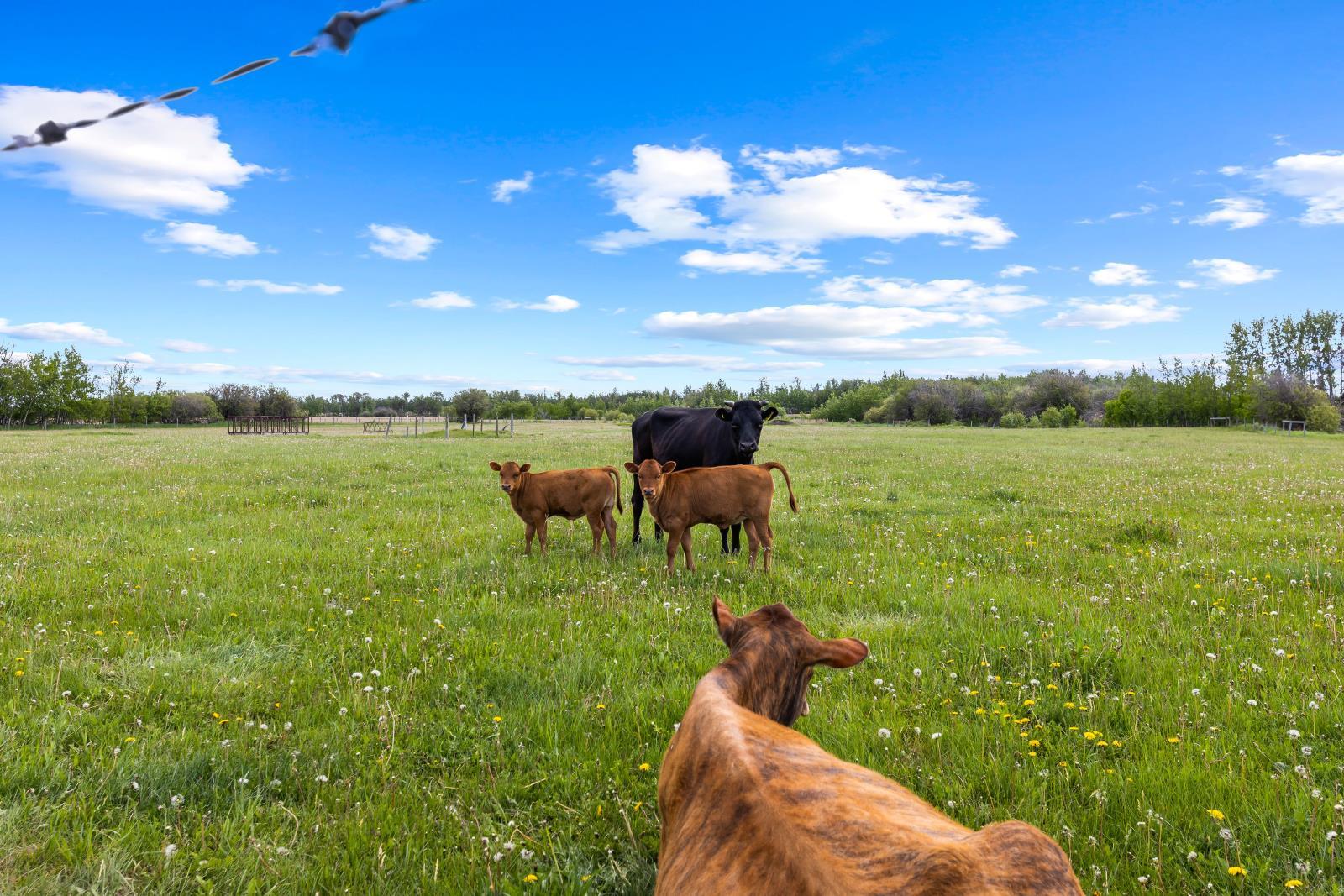 26517 Twp Road 584, Picardville, Ab T0G 1W0, Pickardville, AB