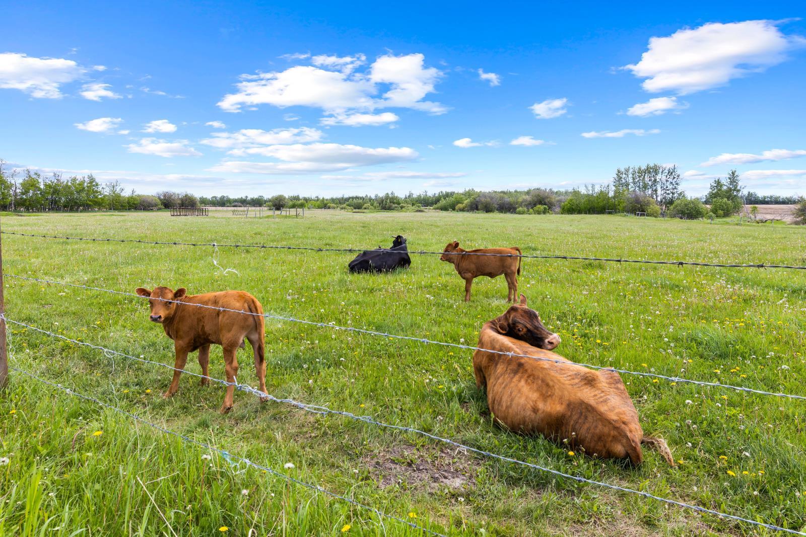 26517 Twp Road 584, Picardville, Ab T0G 1W0, Pickardville, AB