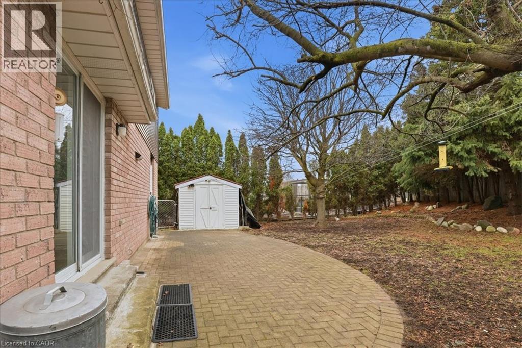 View of yard and shed. - 56 Rushbrook Drive, Kitchener, ON - Outdoor