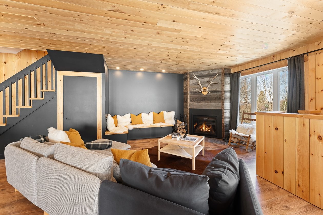 Salon - 168 - 170 Ch. Demers, Sutton, QC - Indoor Photo Showing Living Room With Fireplace