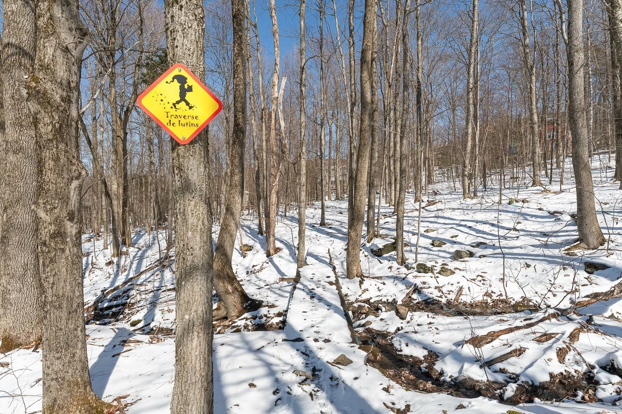 À proximité - 168 - 170 Ch. Demers, Sutton, QC - Outdoor With View