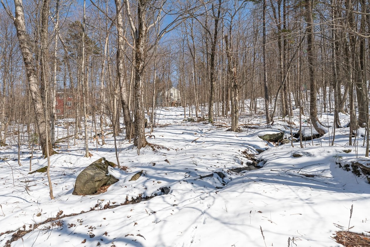 À proximité - 168 - 170 Ch. Demers, Sutton, QC - Outdoor With View