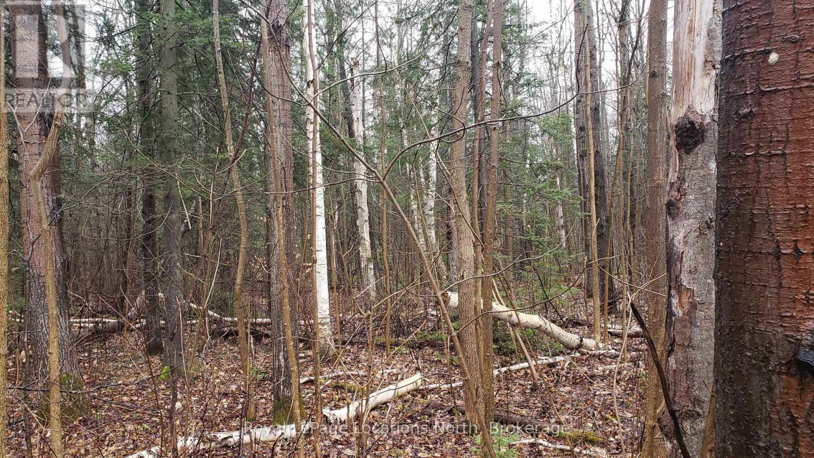 6125 Second Concession Road, Clearview, ON