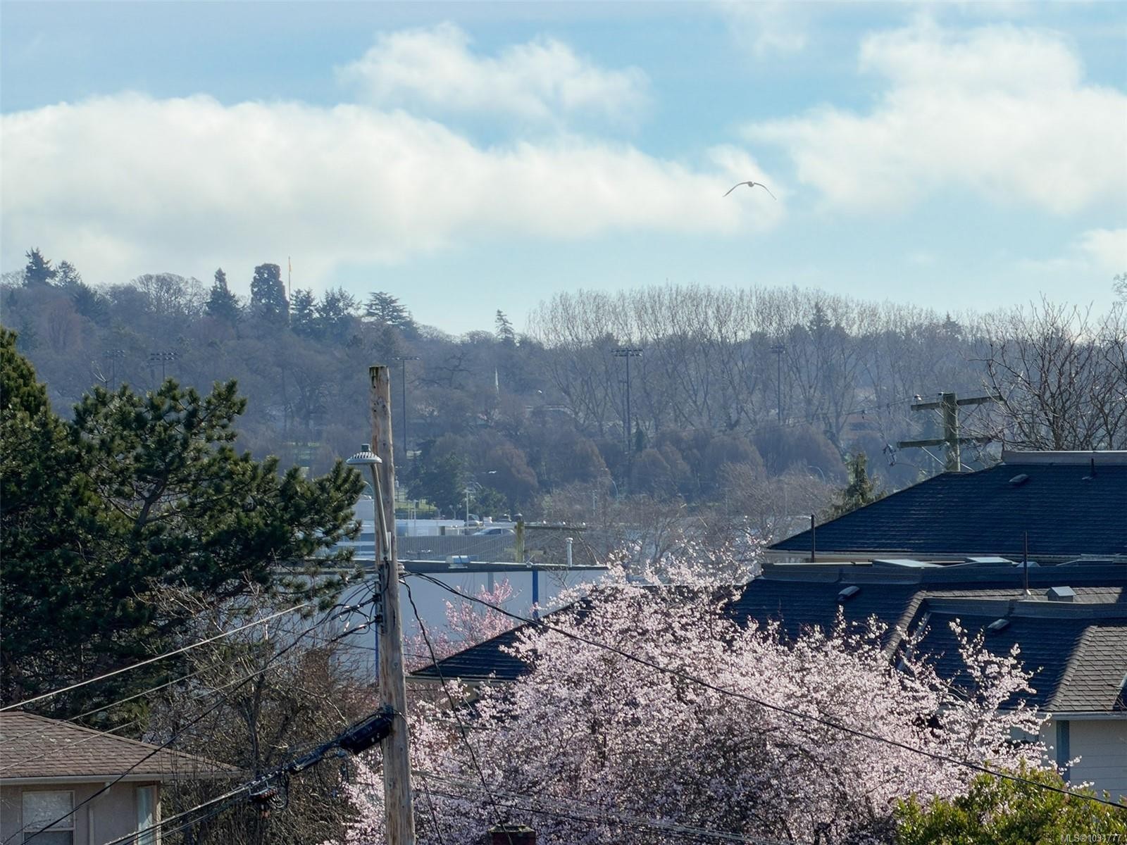 323-3225 Eldon Pl, Saanich, BC - Outdoor With View