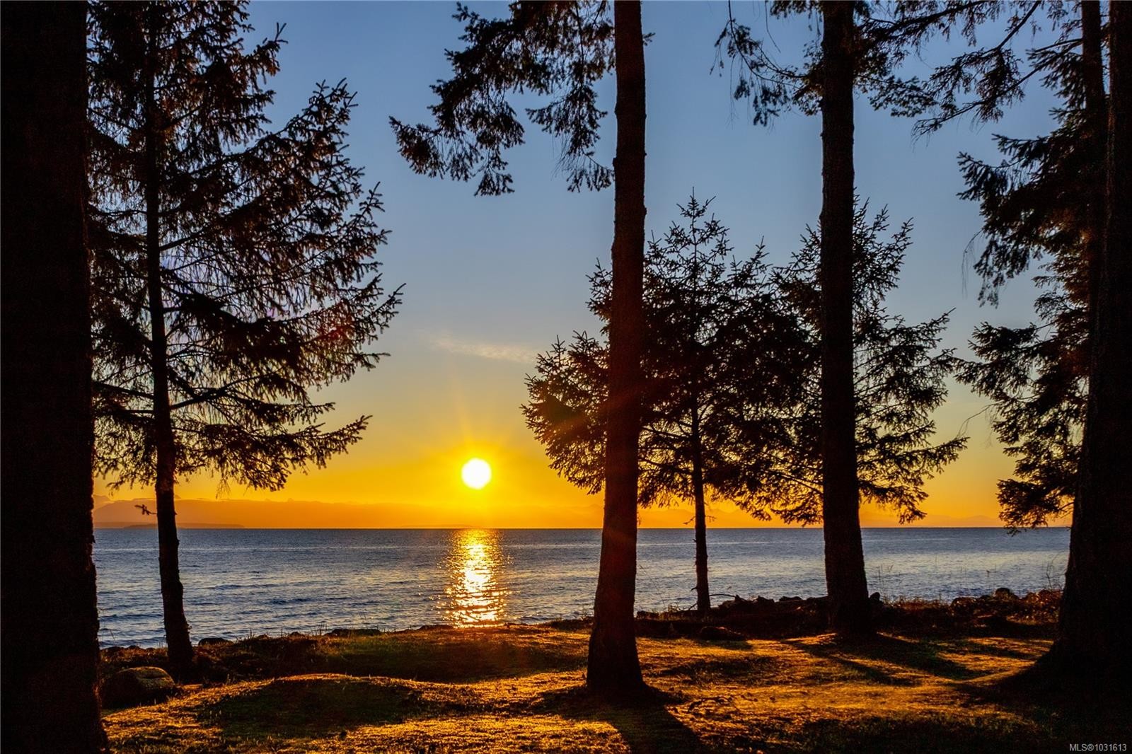 4115 Twigg Rd, Campbell River, BC