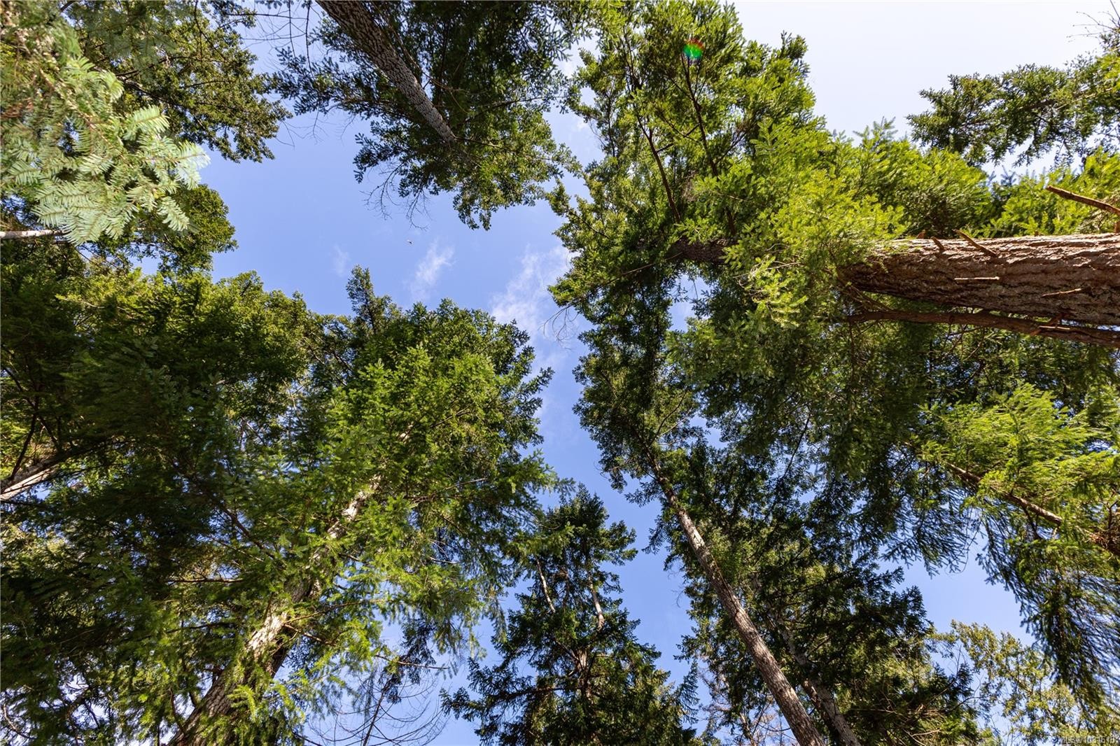 4115 Twigg Rd, Campbell River, BC