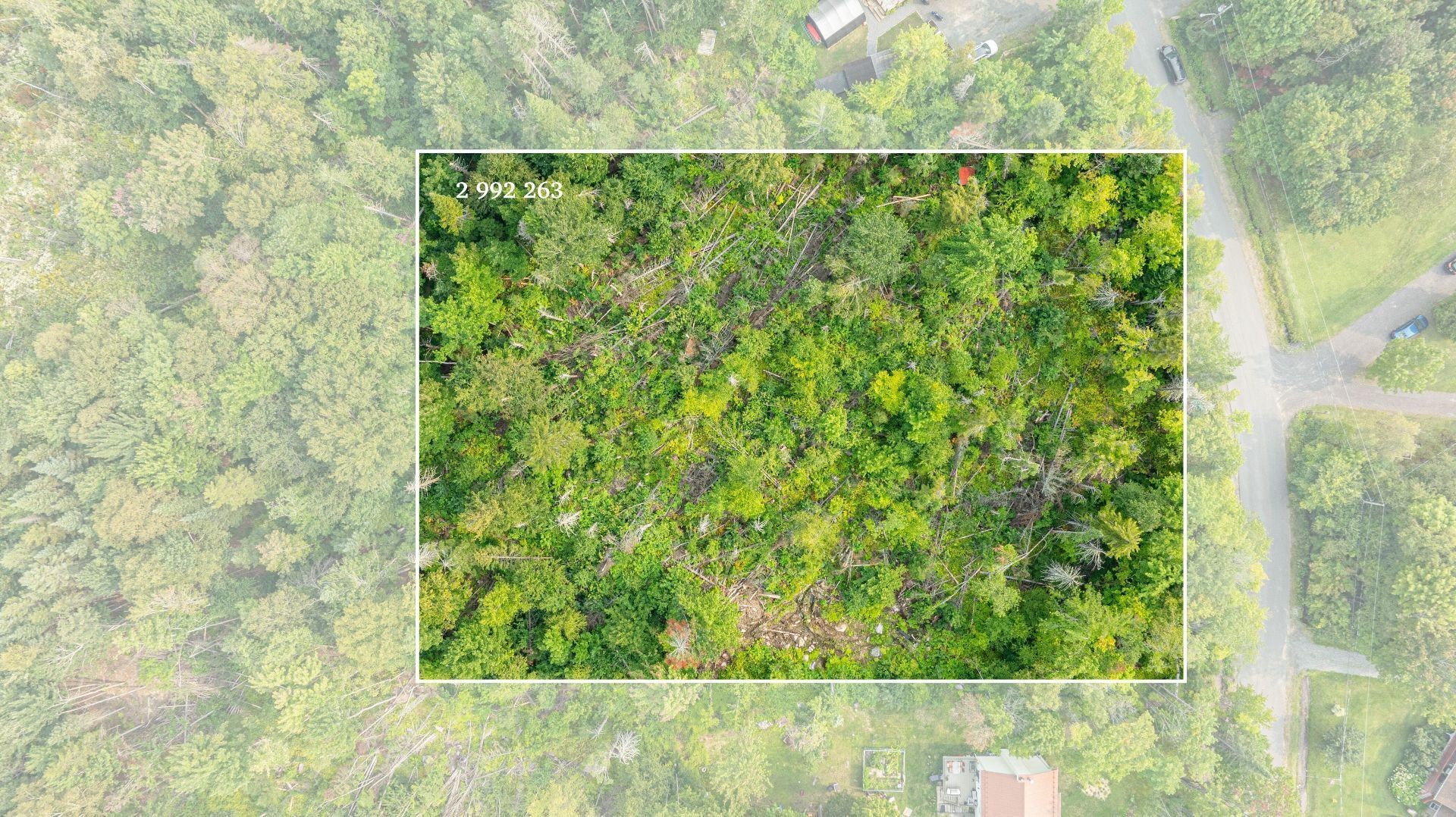 Terre/Terrain - Rue Ovide, Val-David, QC