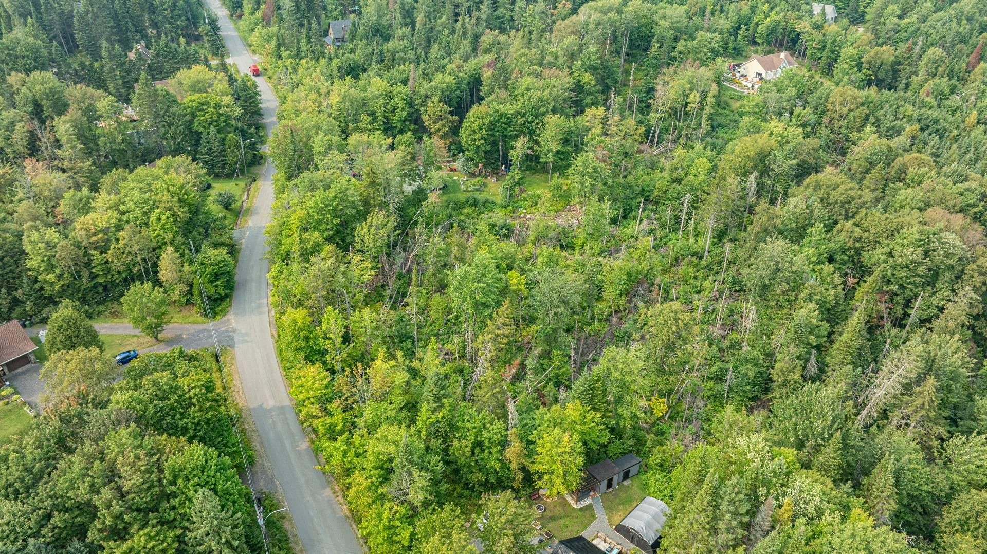 Terre/Terrain - Rue Ovide, Val-David, QC