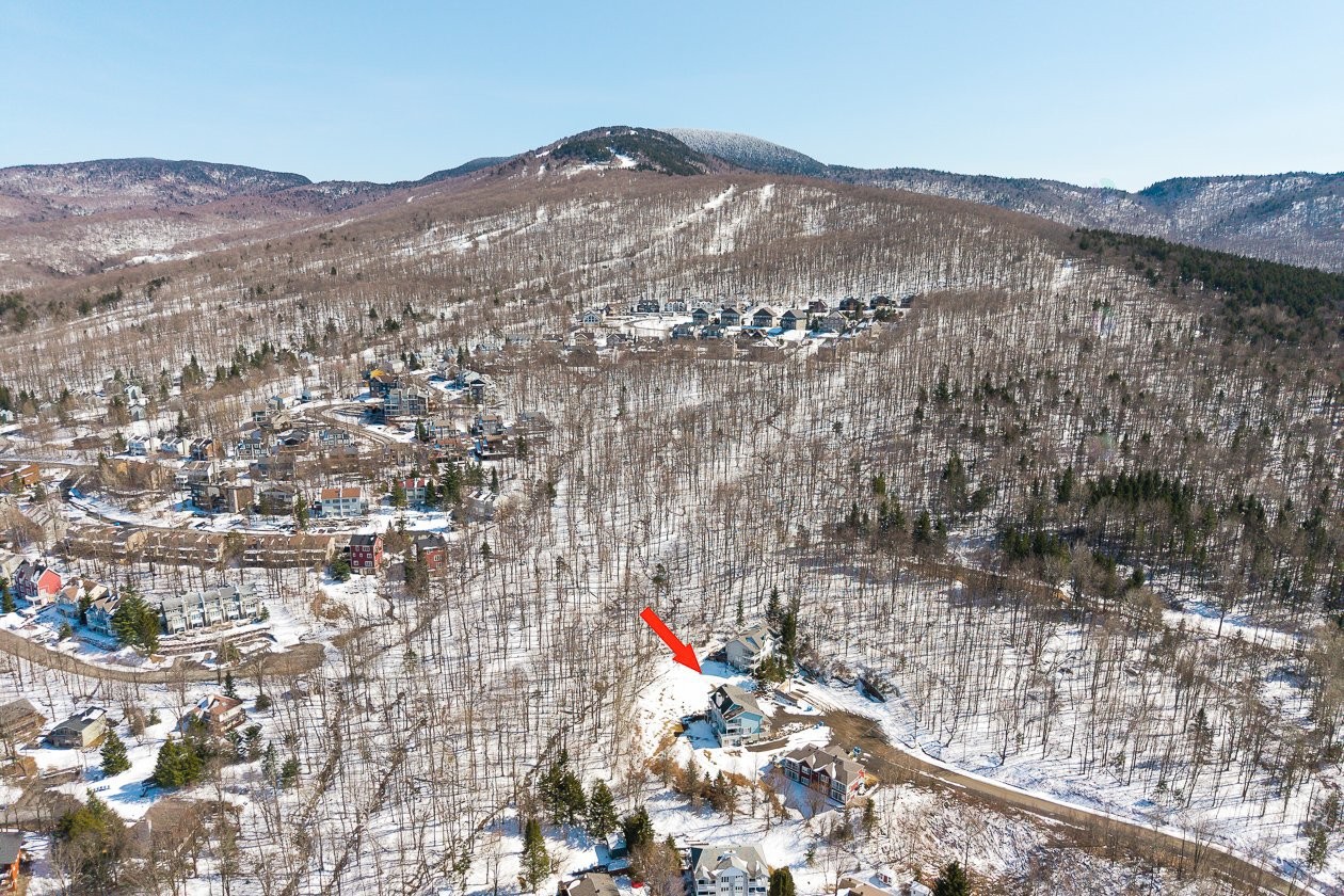 Overall view - 168Z - 170Z Ch. Demers, Sutton, QC - Outdoor With View