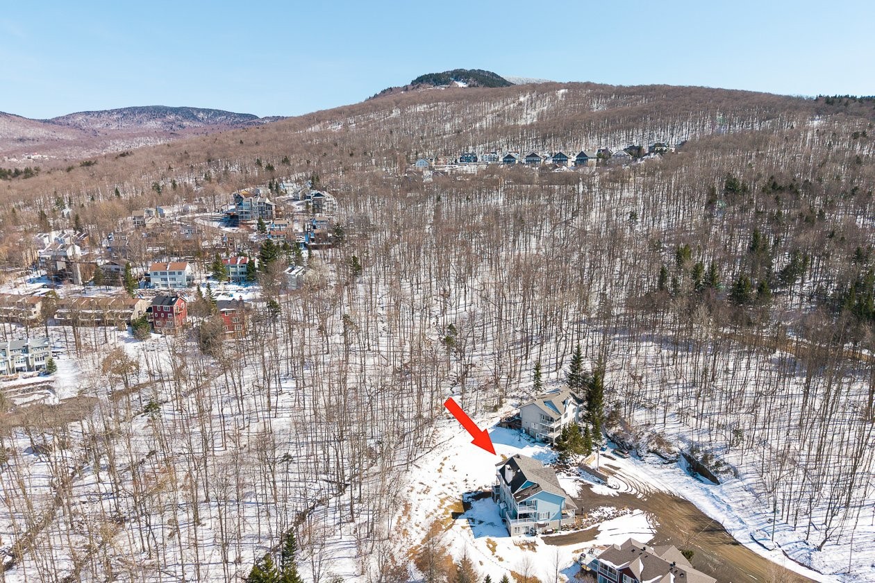 Overall view - 168Z - 170Z Ch. Demers, Sutton, QC - Outdoor With View