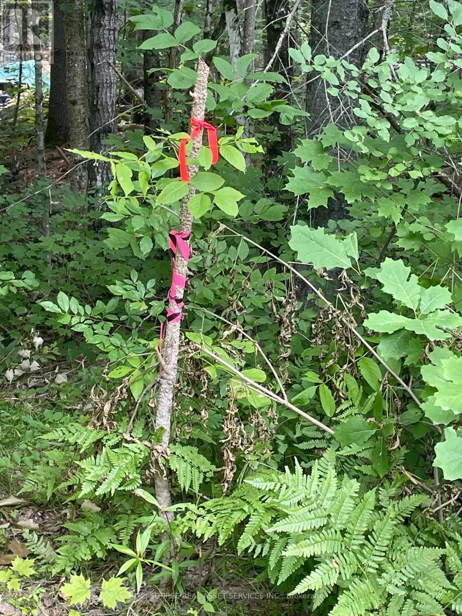 Part 2 - 00 Rye Road, South River, ON