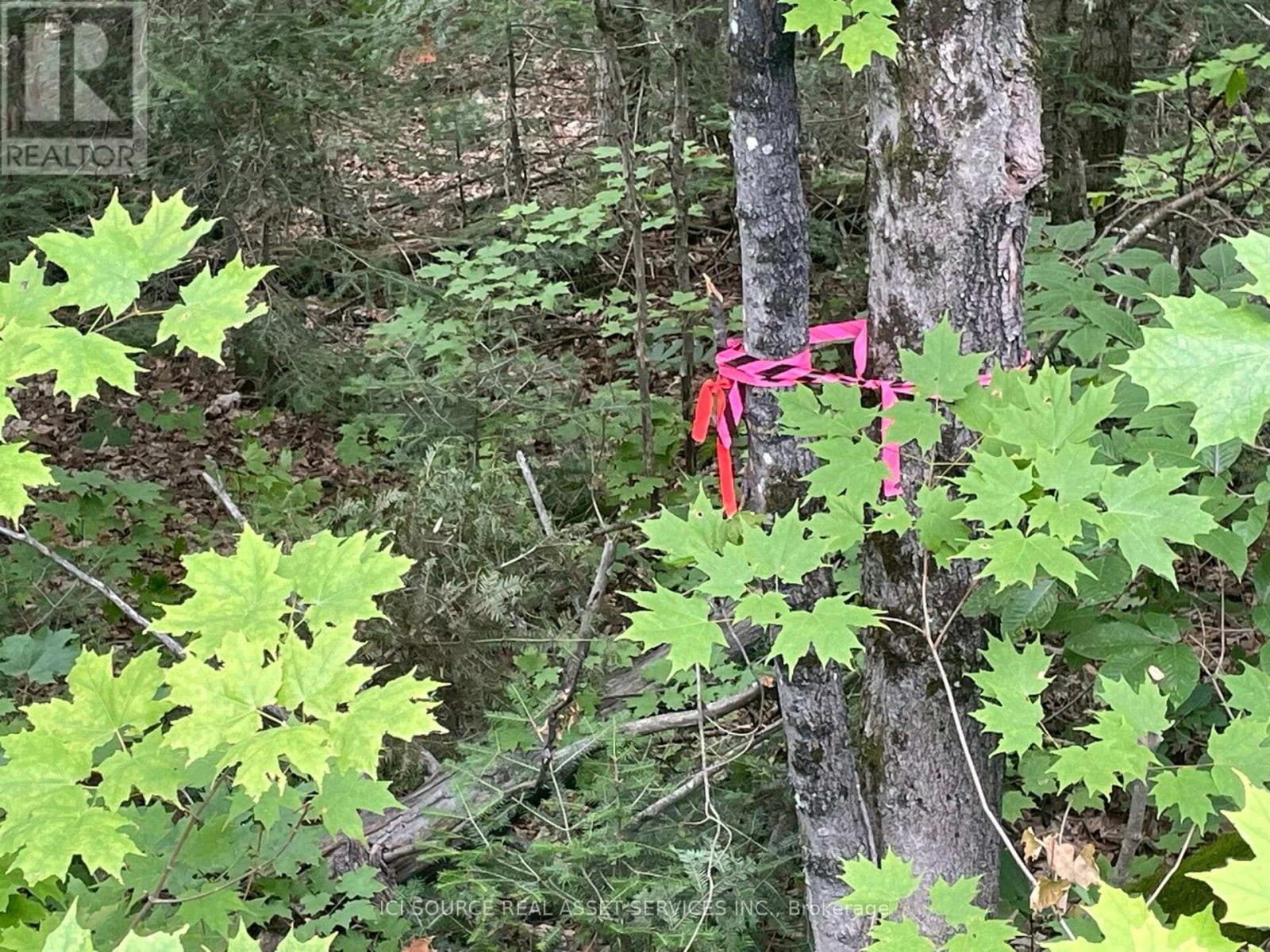 Part 2 - 00 Rye Road, South River, ON