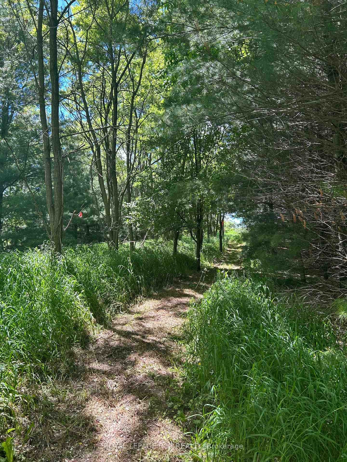 Lot 29 5Th Line E, Mulmur, ON