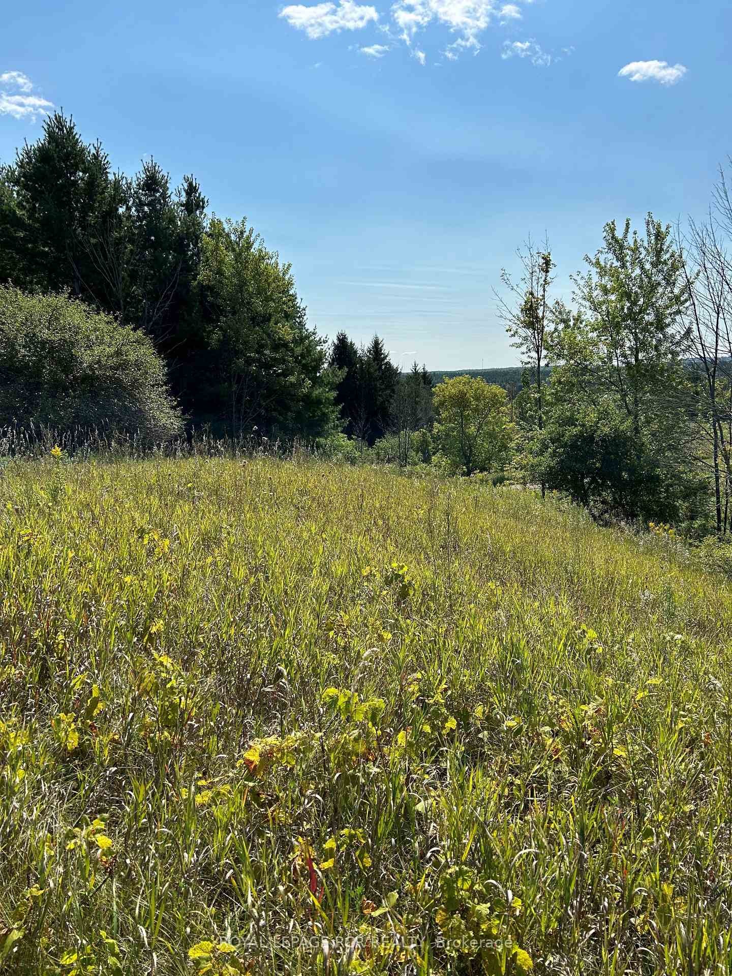Lot 29 5Th Line E, Mulmur, ON