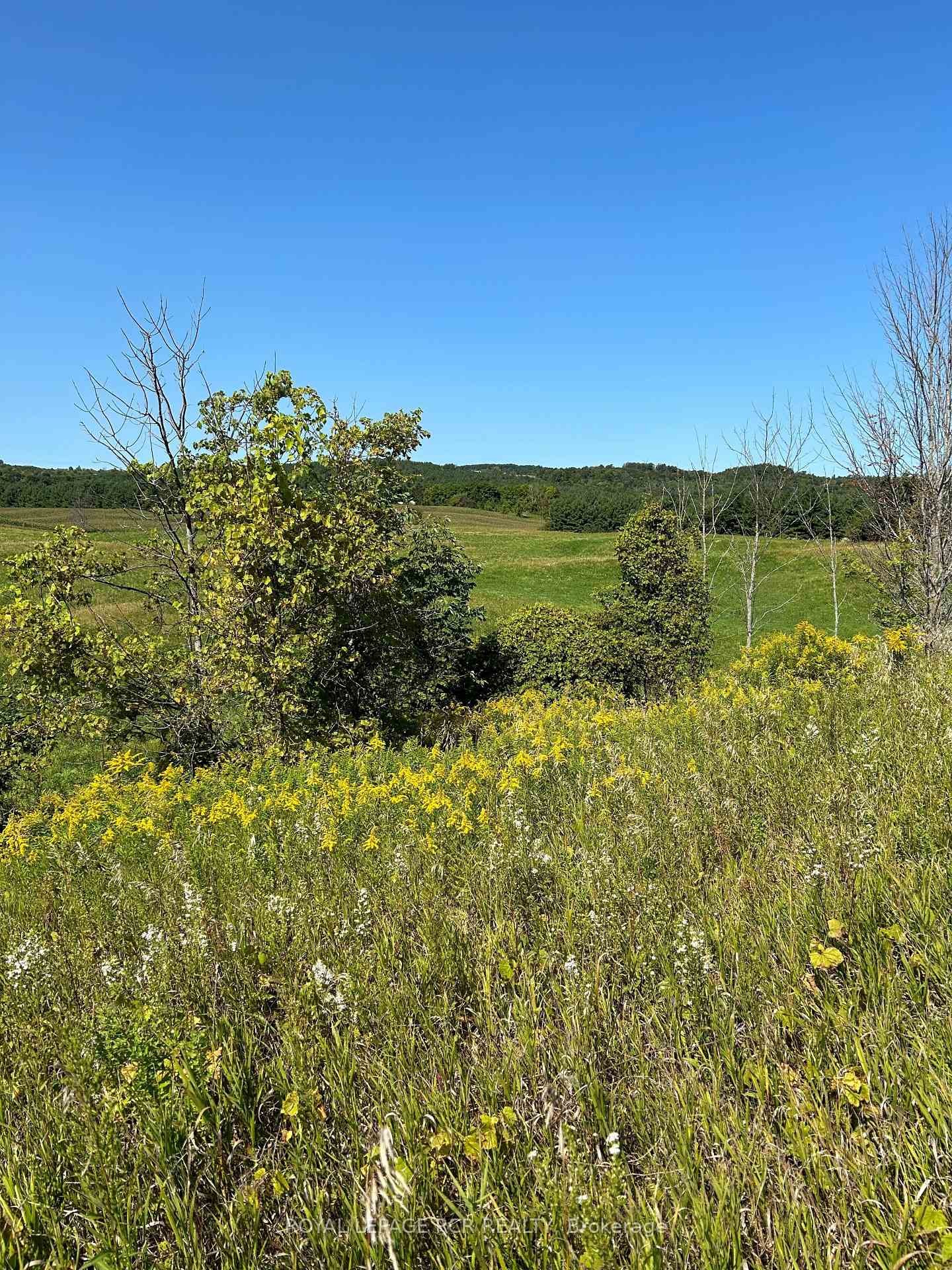 Lot 29 5Th Line E, Mulmur, ON