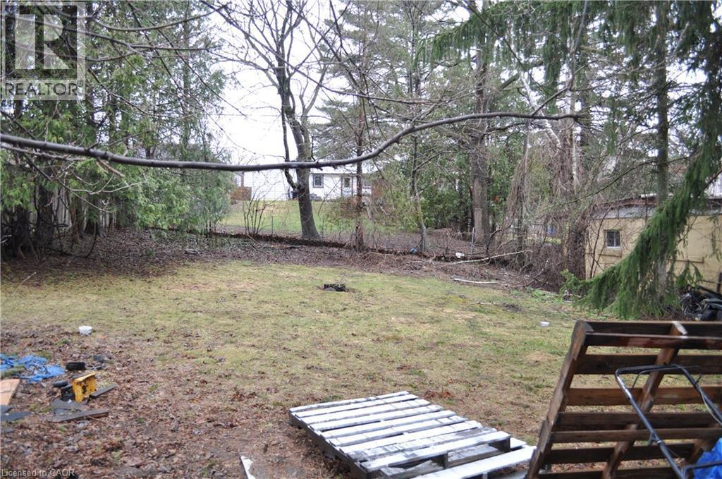 View of yard - 391 Lawrence Avenue, Kitchener, ON - Outdoor