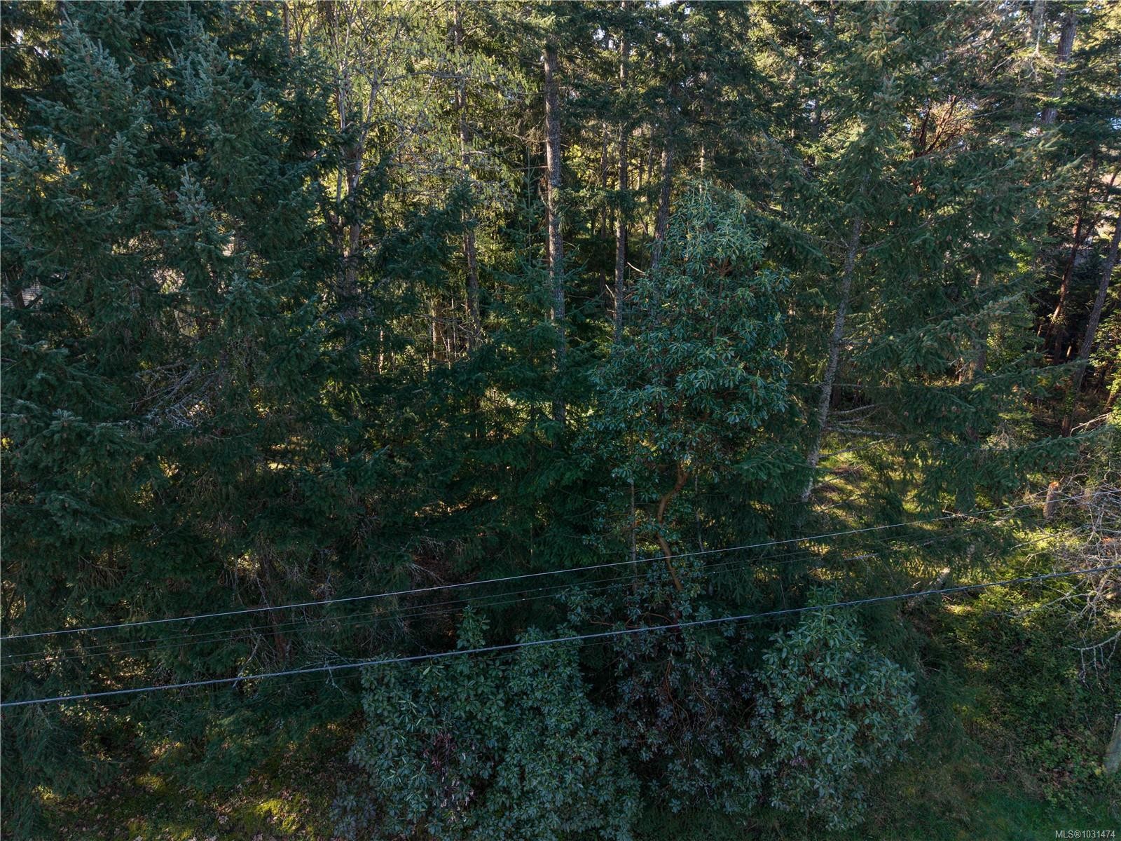 537 Cromar Rd, North Saanich, BC