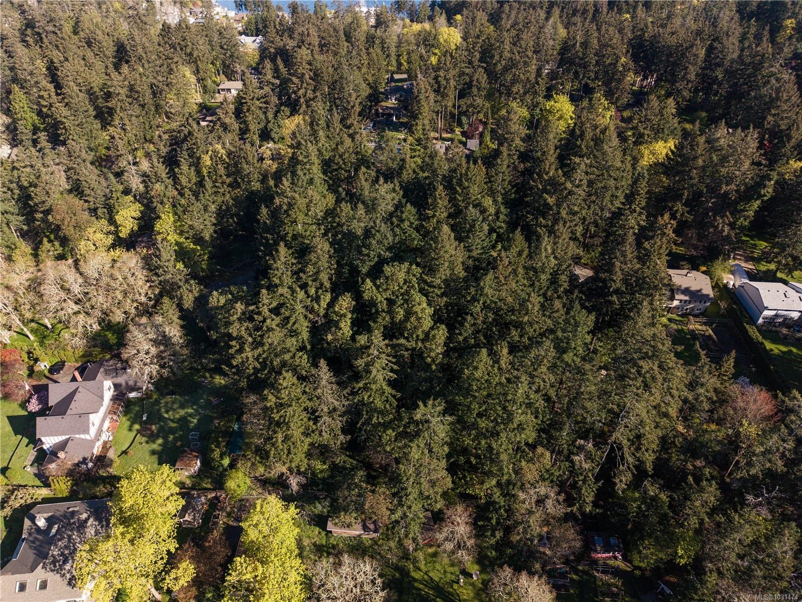 537 Cromar Rd, North Saanich, BC