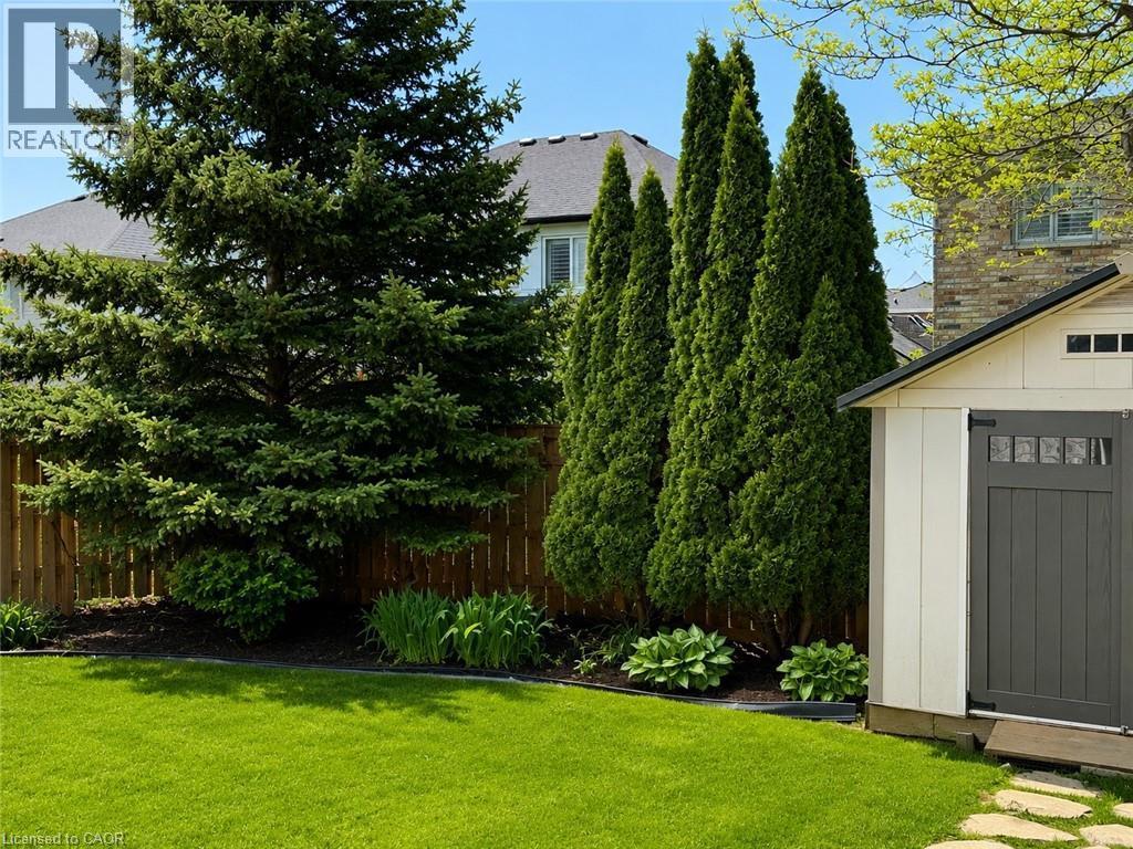 Expansive green lawn featuring a wooden fence backdrop, mature evergreen trees, and a detached shed with a dark gray door and transom window - 51 Redtail Crescent, Hamilton, ON - Outdoor