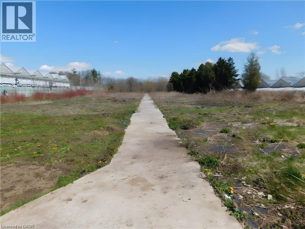 View of yard - 2474 Highway 24, Simcoe, ON