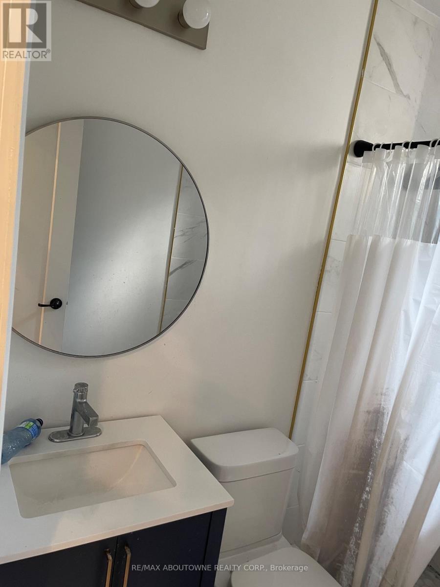 66 Wellington Street S, Hamilton, ON - Indoor Photo Showing Bathroom