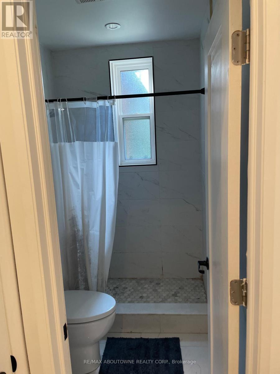 66 Wellington Street S, Hamilton, ON - Indoor Photo Showing Bathroom