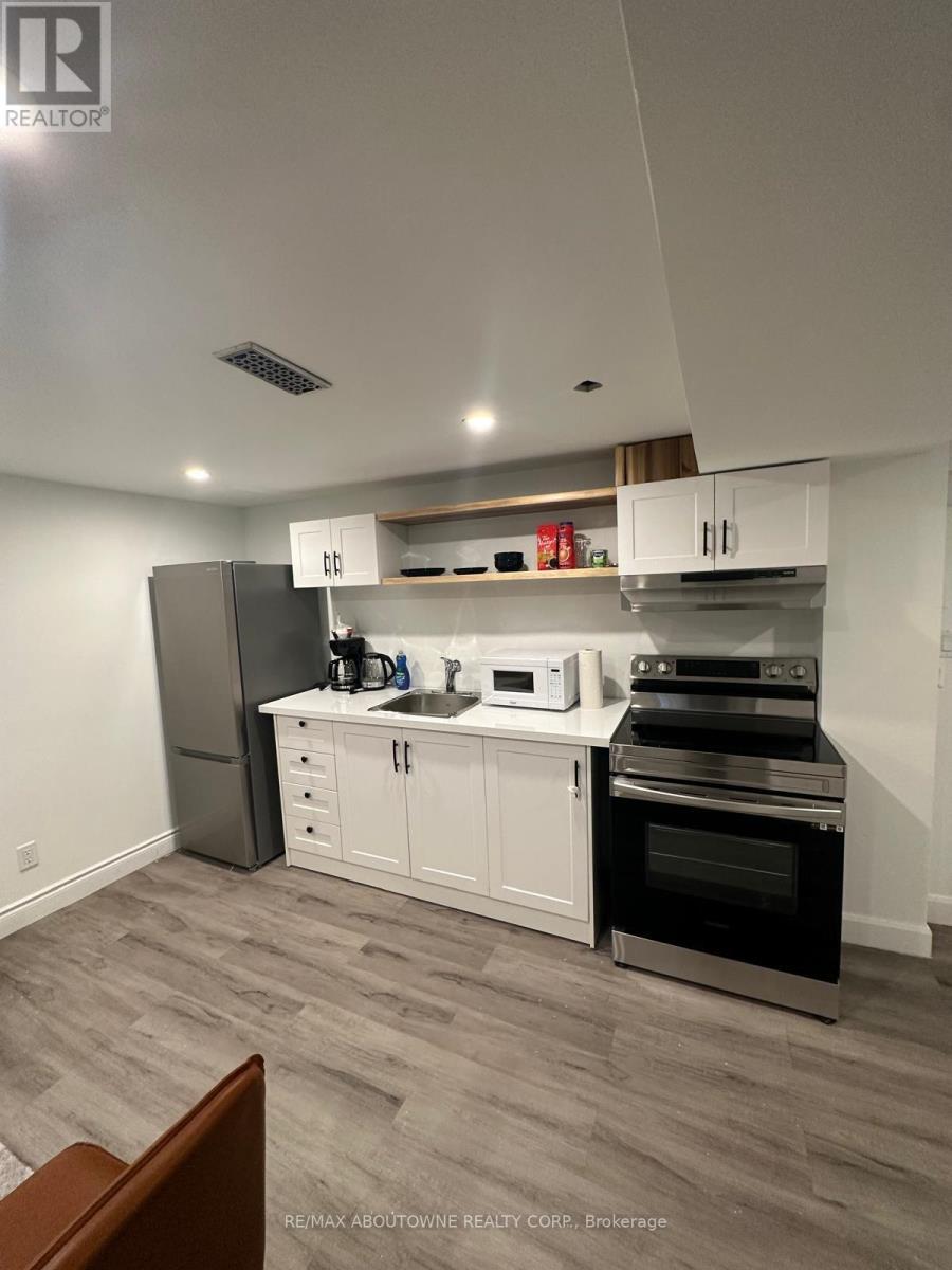 66 Wellington Street S, Hamilton, ON - Indoor Photo Showing Kitchen