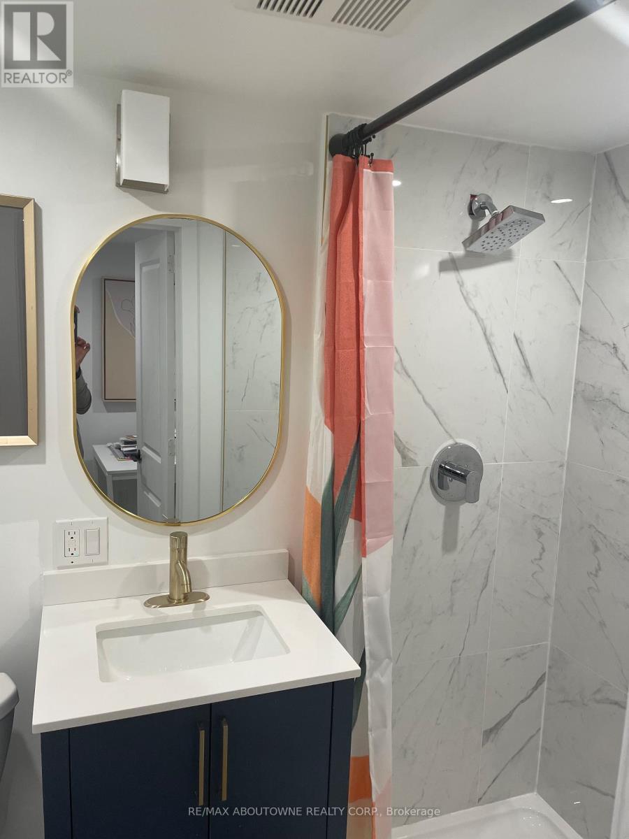 66 Wellington Street S, Hamilton, ON - Indoor Photo Showing Bathroom