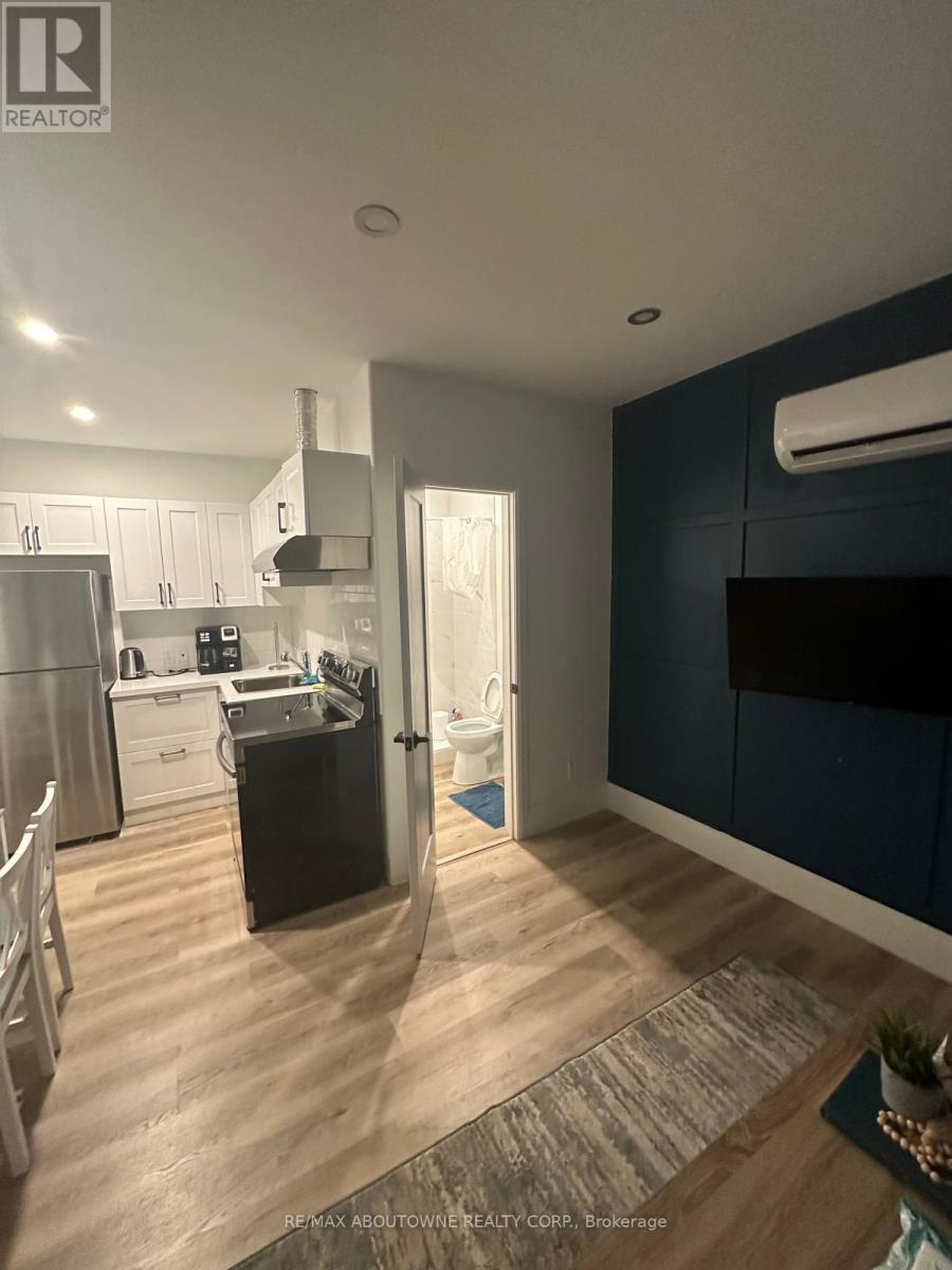 66 Wellington Street S, Hamilton, ON - Indoor Photo Showing Kitchen