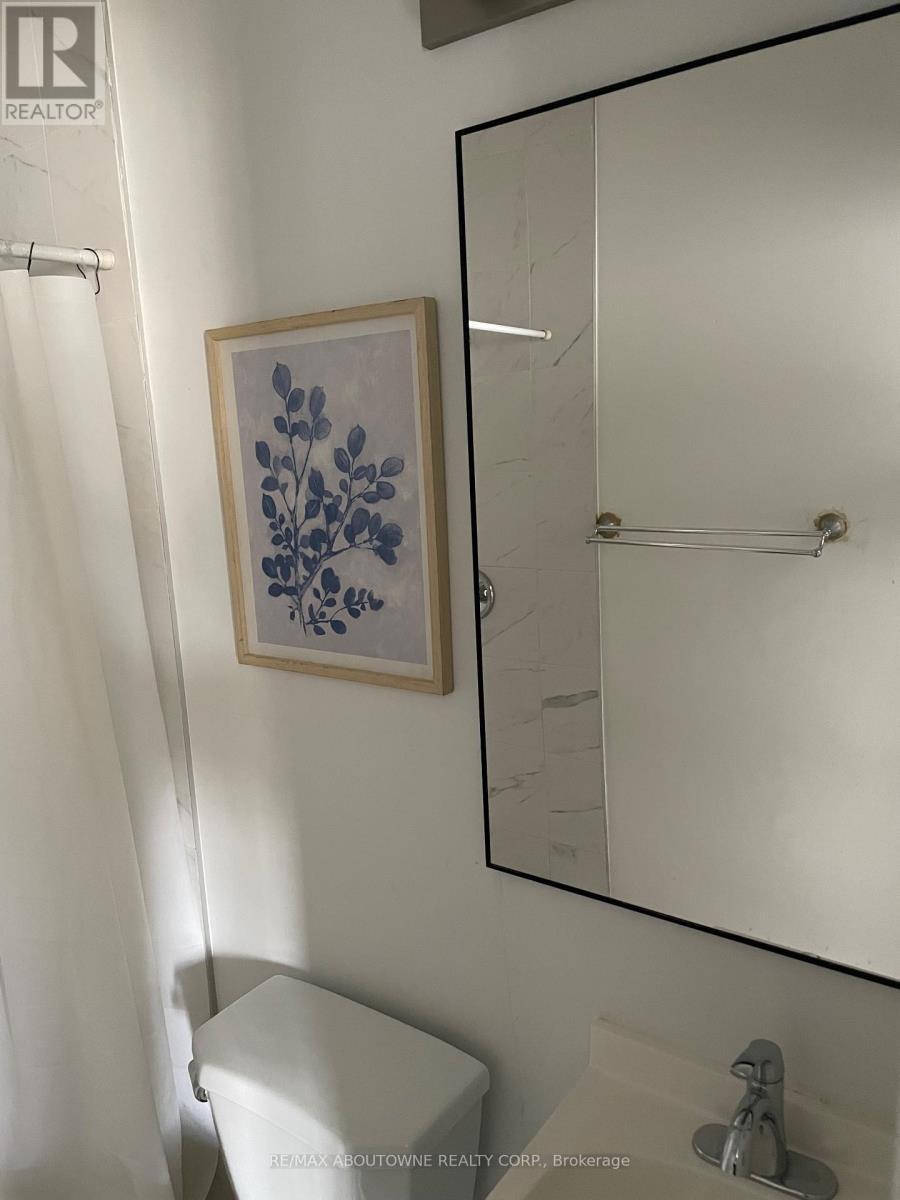 66 Wellington Street S, Hamilton, ON - Indoor Photo Showing Bathroom