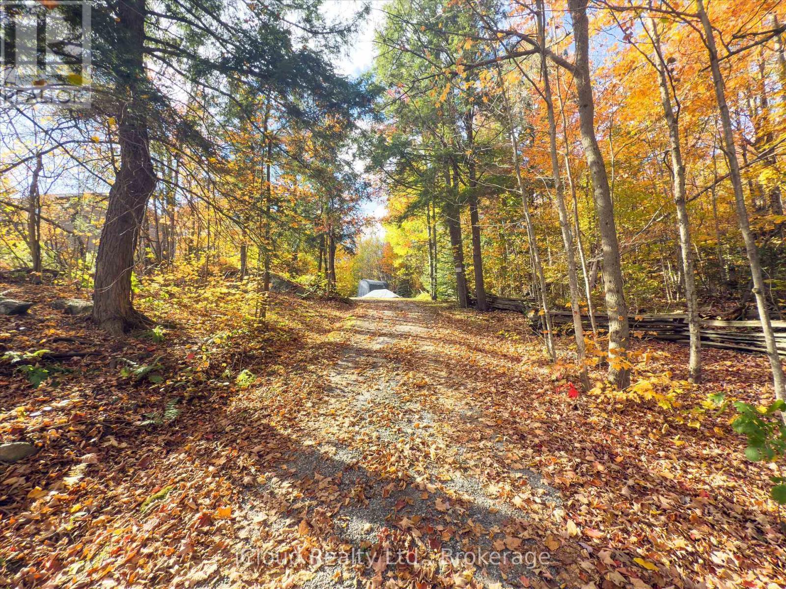 6 Springhill Road, Mckellar, ON - Outdoor With View