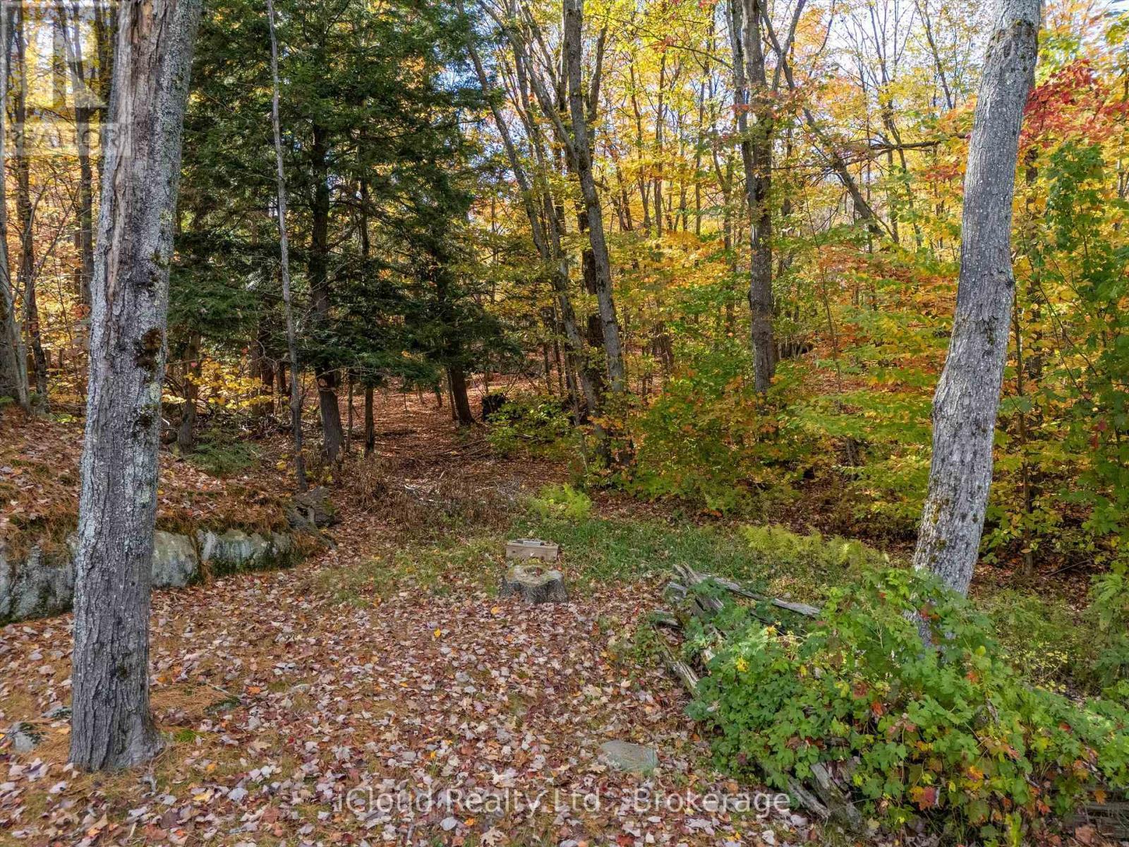 6 Springhill Road, Mckellar, ON - Outdoor With Deck Patio Veranda